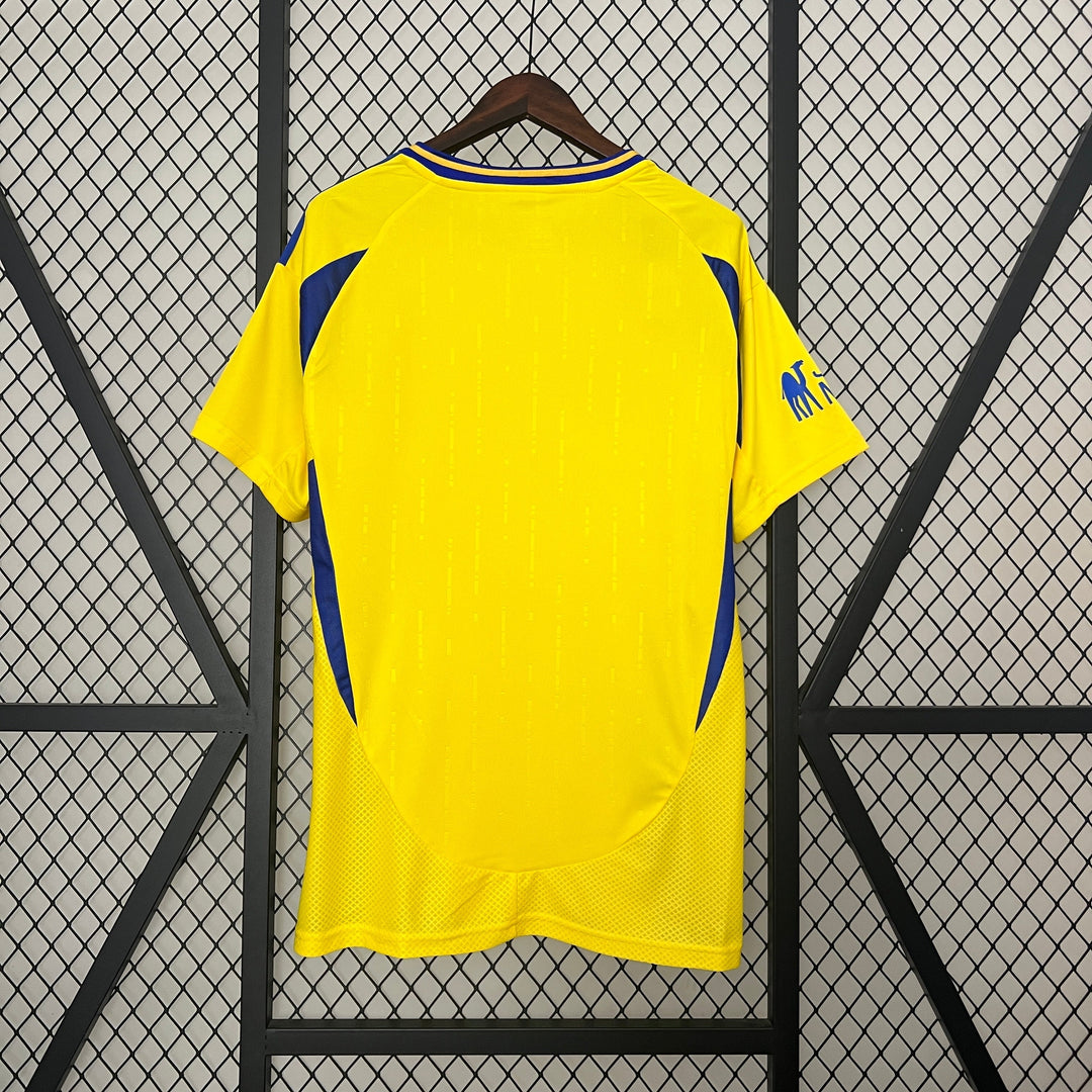 AL-Nassr 2024 - 2025 Hemmatröja